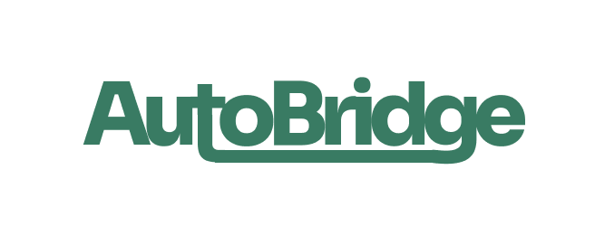 VeBridge Logo